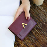 Leather Mini Design